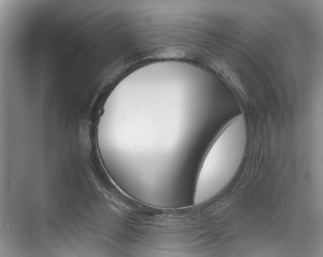 X0000076070300200609221000