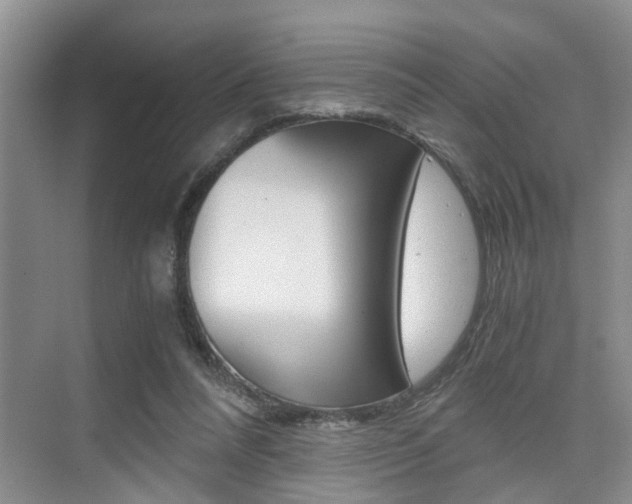 X0000076070304200609221000