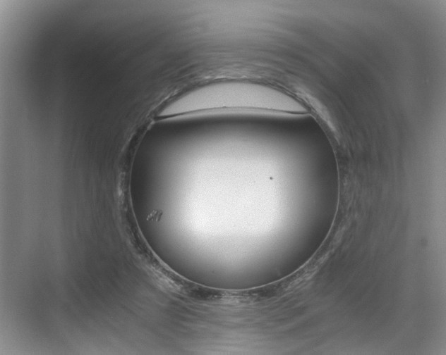 X0000076070305200609221000