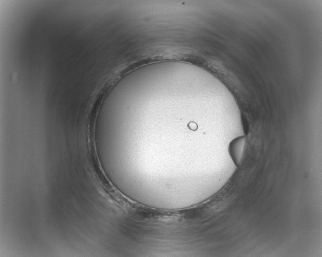 X0000076070306200609221000