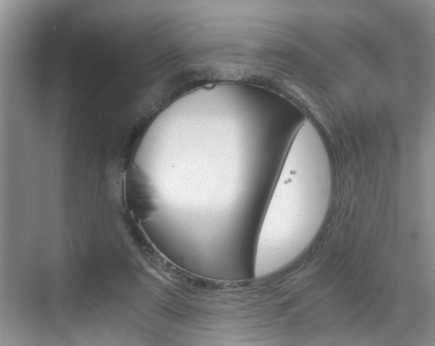 X0000076070307200609221000