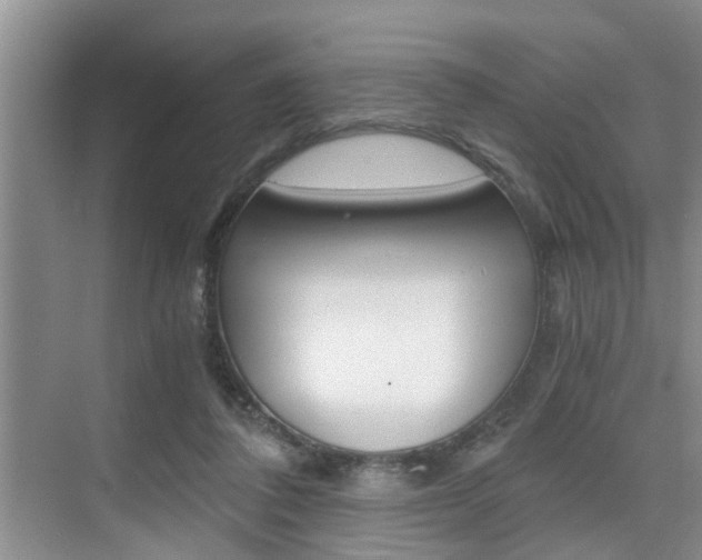 X0000076070308200609221000