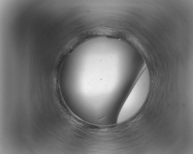 X0000076070309200609221000