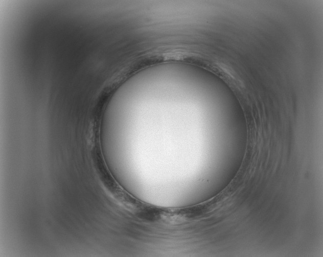 X0000076070311200609221000