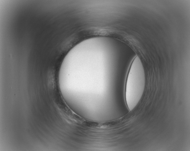 X0000076070312200609221000