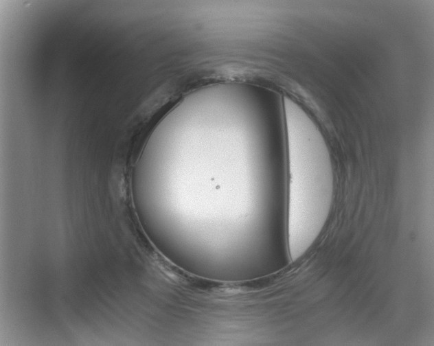 X0000076070313200609221000