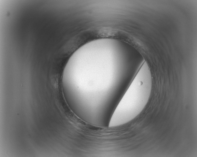 X0000076070315200609221000