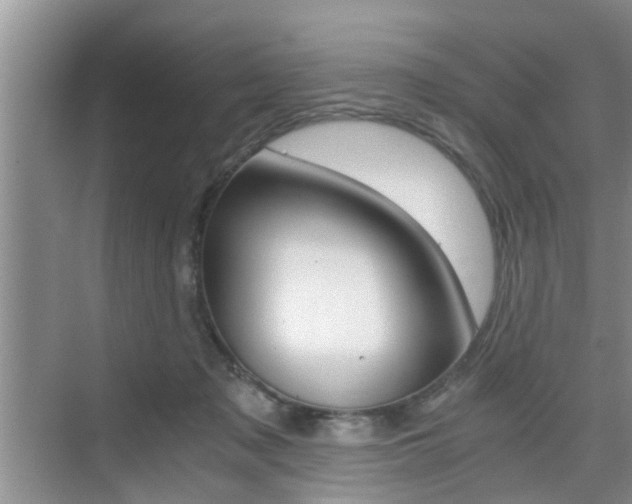 X0000076070317200609221000