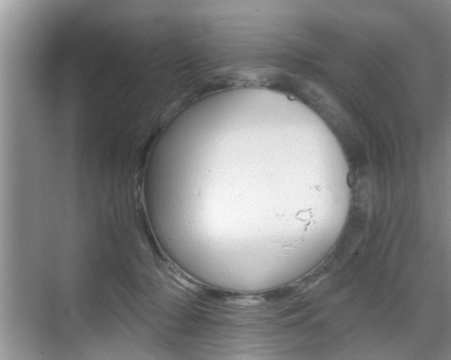 X0000076070318200609221000