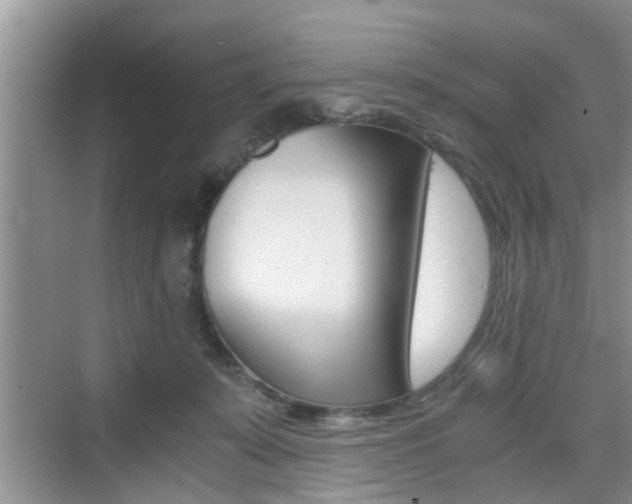 X0000076070319200609221000