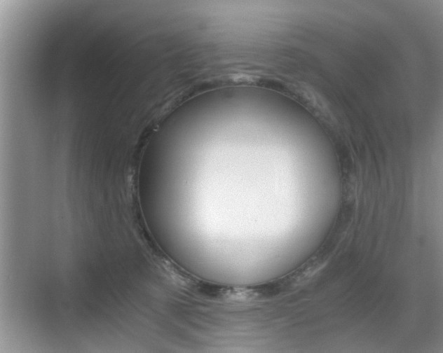 X0000076070321200609221000