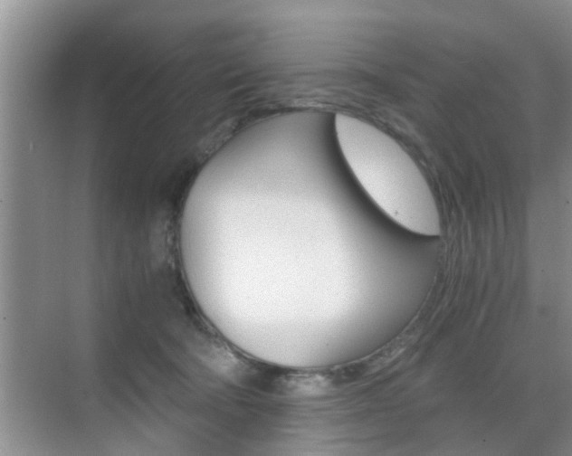 X0000076070322200609221000