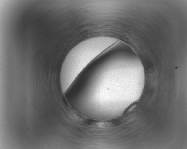 X0000076070323200609221000