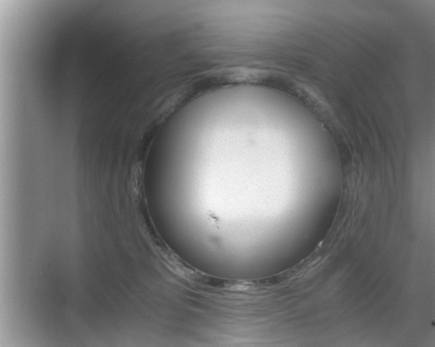 X0000076070325200609221000