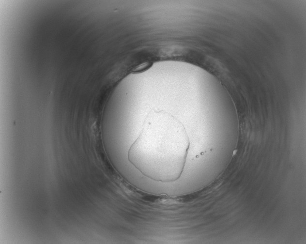 X0000076070327200609221000