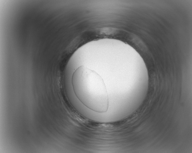 X0000076070328200609221000