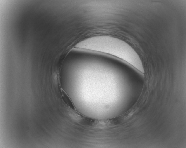 X0000076070329200609221000