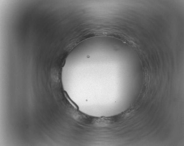 X0000076070331200609221000