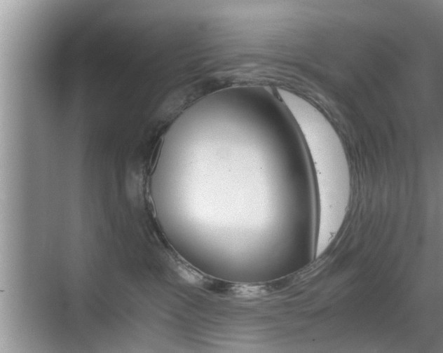 X0000076070333200609221000