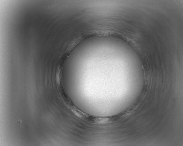 X0000076070334200609221000