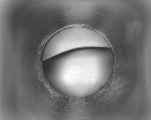 X0000076070337200609220959