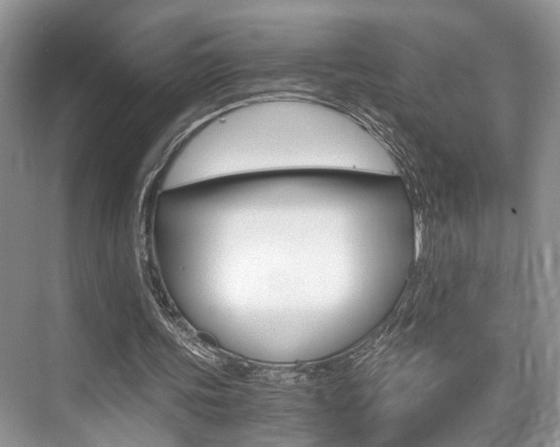 X0000076070339200609220959