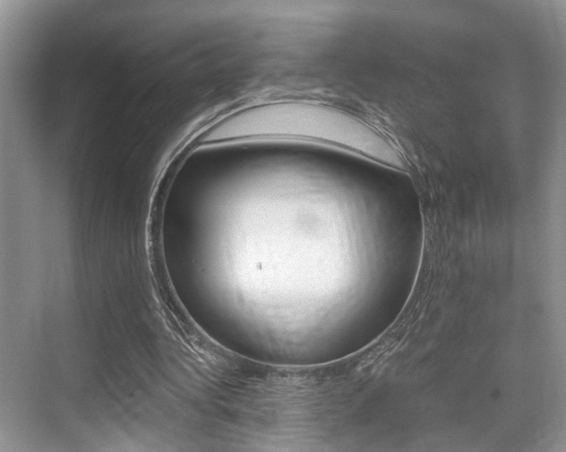 X0000076070340200609220959