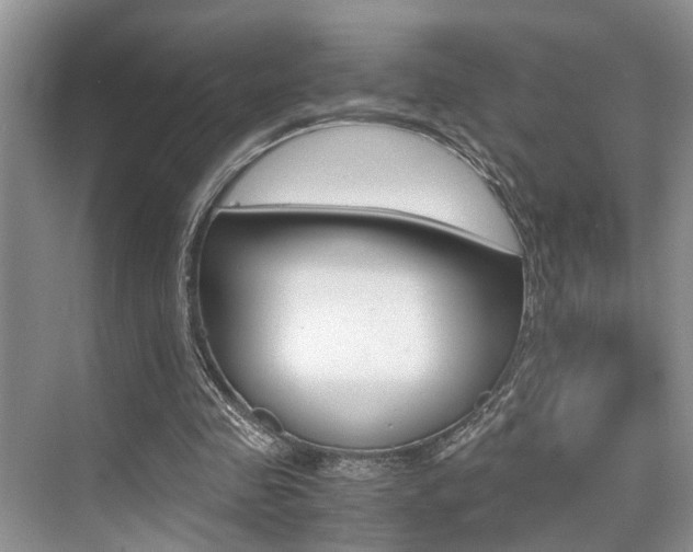 X0000076070341200609220959