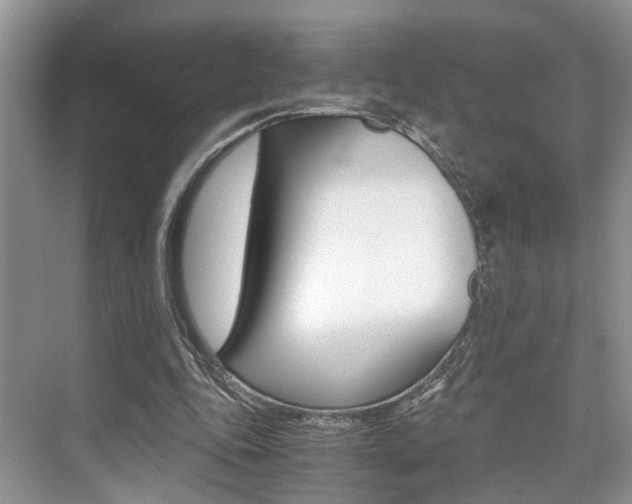 X0000076070343200609220959