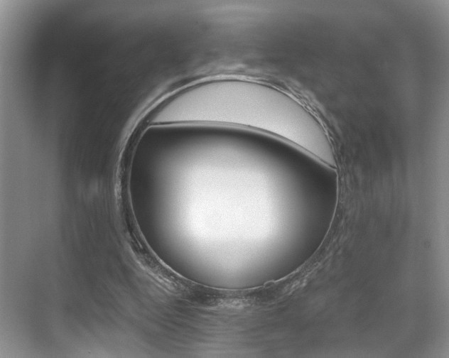 X0000076070344200609220959