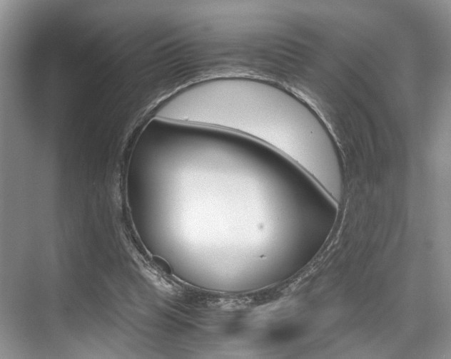 X0000076070345200609220959