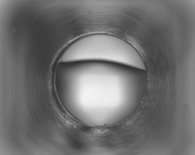 X0000076070346200609220959