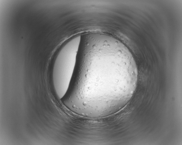 X0000076070347200609220959