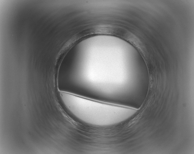 X0000076070349200609220959