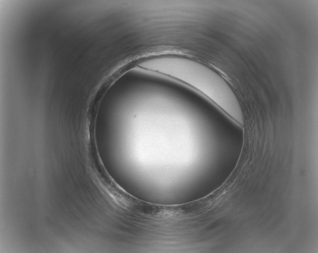 X0000076070350200609220959