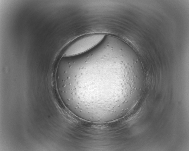 X0000076070351200609220959