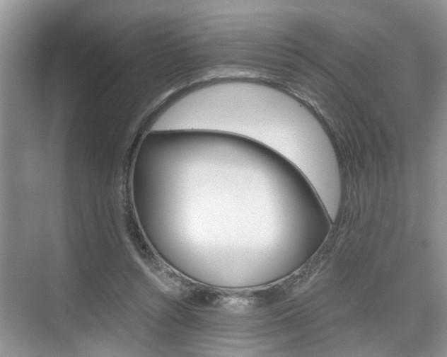 X0000076070352200609220959