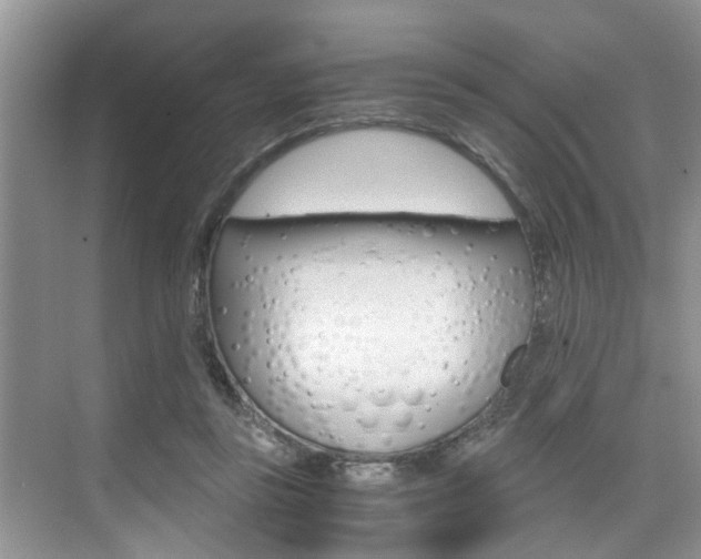 X0000076070355200609220959