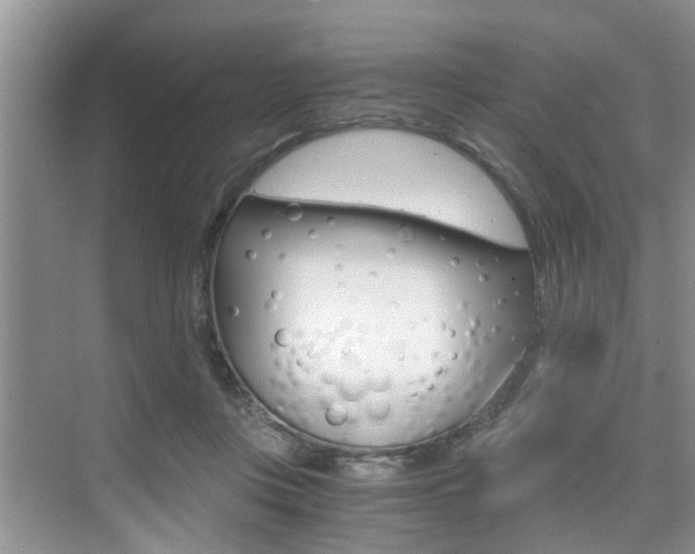 X0000076070359200609220959