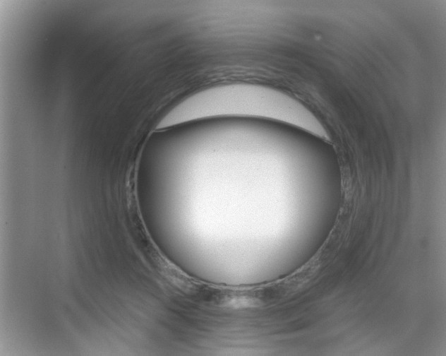 X0000076070360200609220959