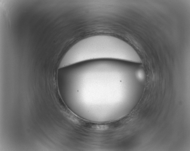 X0000076070361200609220959