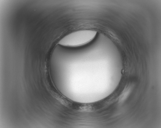 X0000076070362200609220959