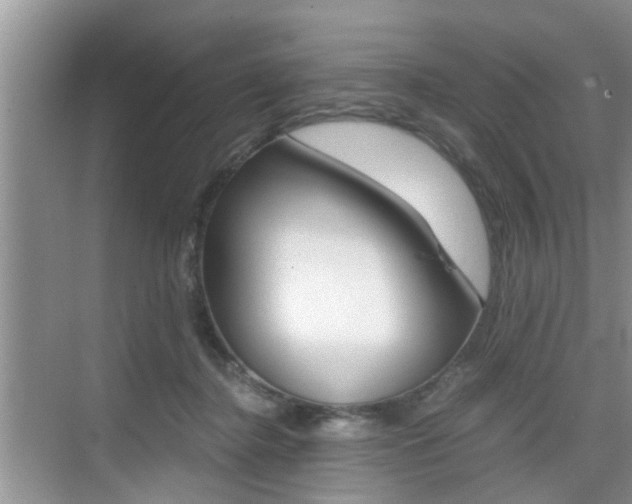 X0000076070364200609220959