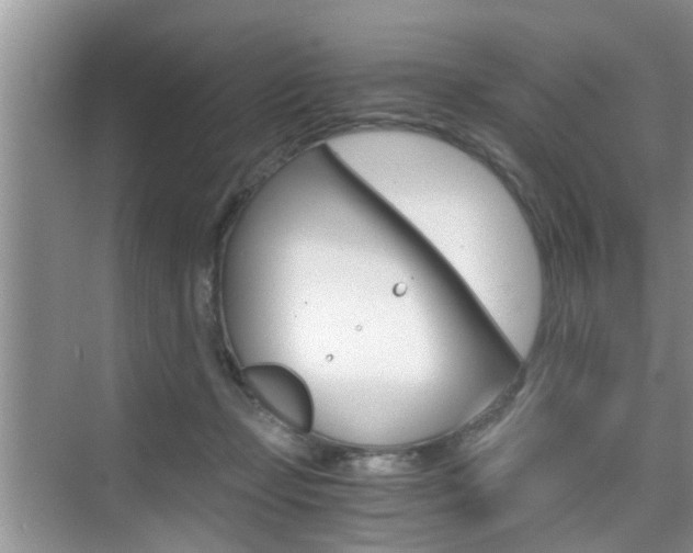 X0000076070365200609220959