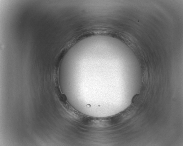 X0000076070367200609220959