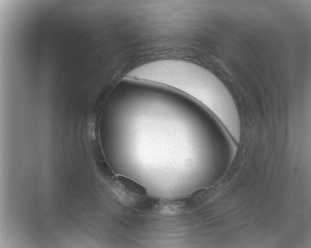 X0000076070368200609220959