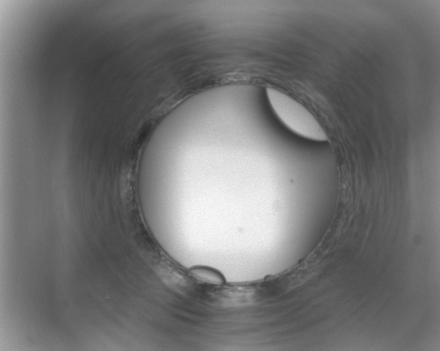 X0000076070369200609220959