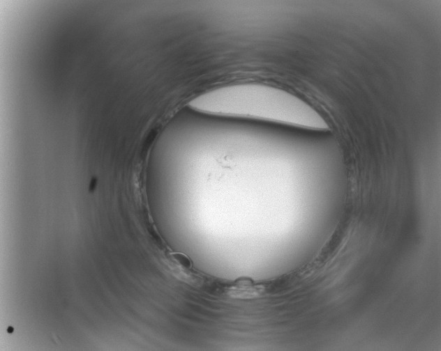 X0000076070373200609220959