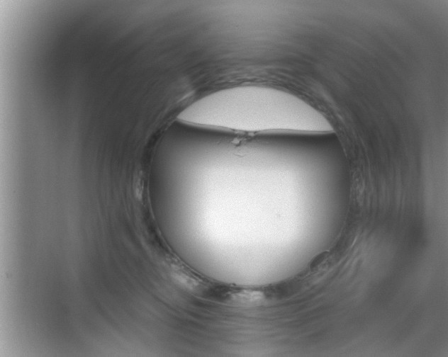 X0000076070374200609220959