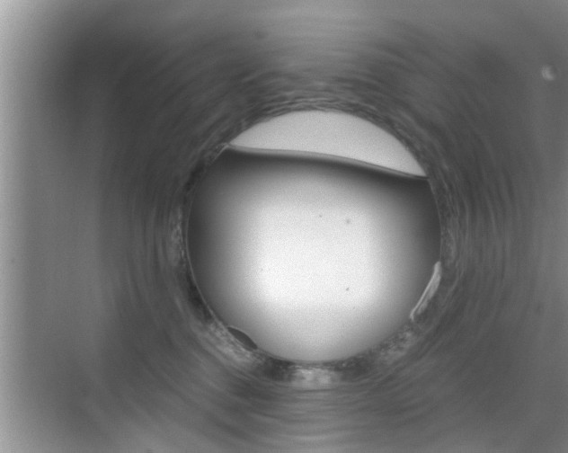 X0000076070376200609220959